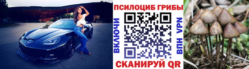 купить   Старый Крым  Галлюциногенные грибы мицелий 